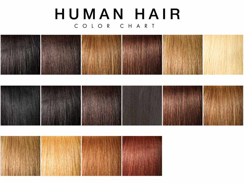 How To Find The Best Natural Hair Colors Human Hair Exim
